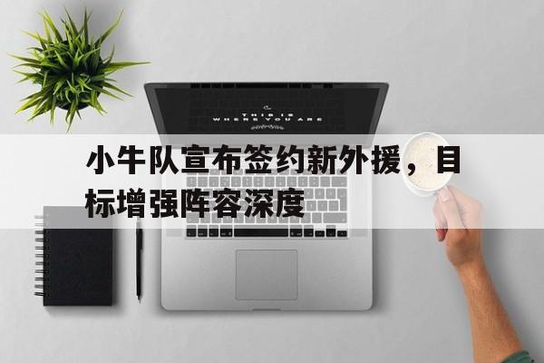 关于小牛队宣布签约新外援，目标增强阵容深度的信息